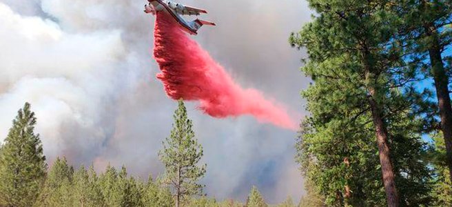 An airplane drops a cloud of red powder over a forest.